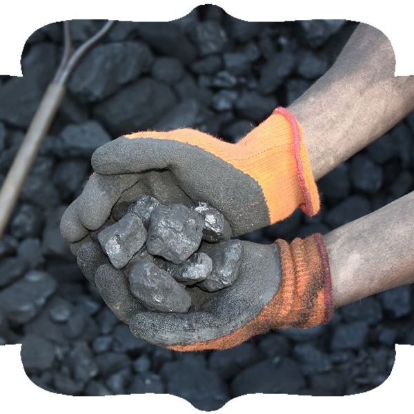 Afganistan Yakacak Yardımı